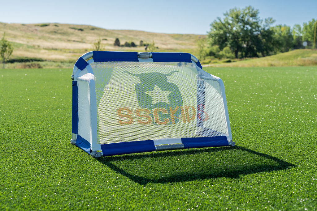 RYVAL4 Portable Training Goal